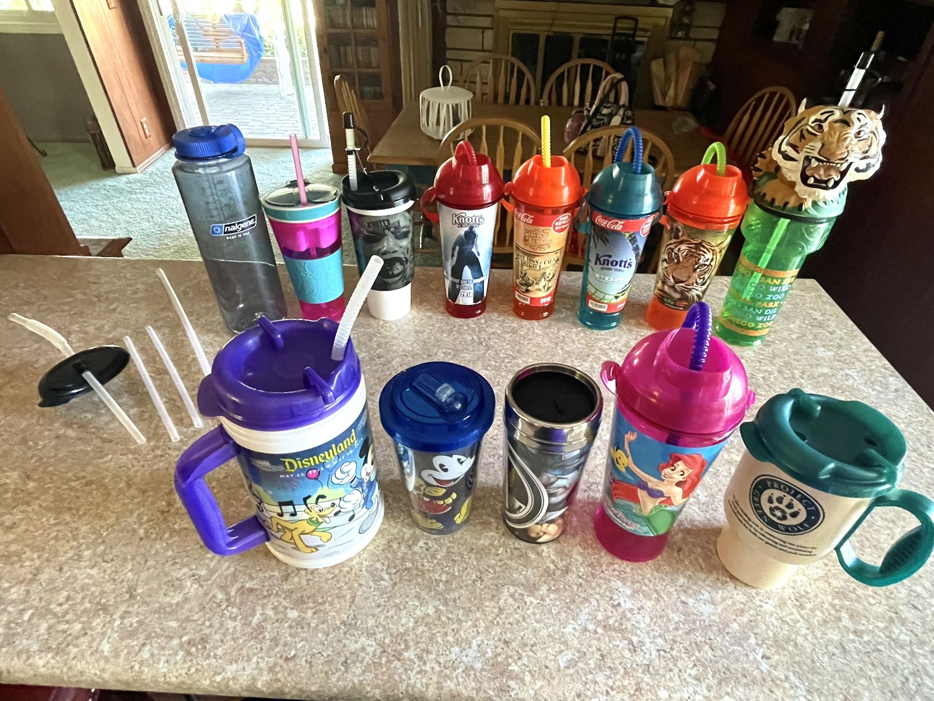 Disney/Knott’s/S.D. Zoo Souvenir Drink Cups