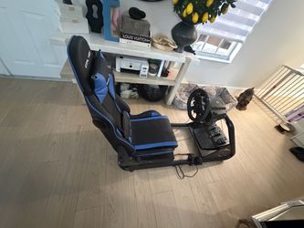 Racing sim