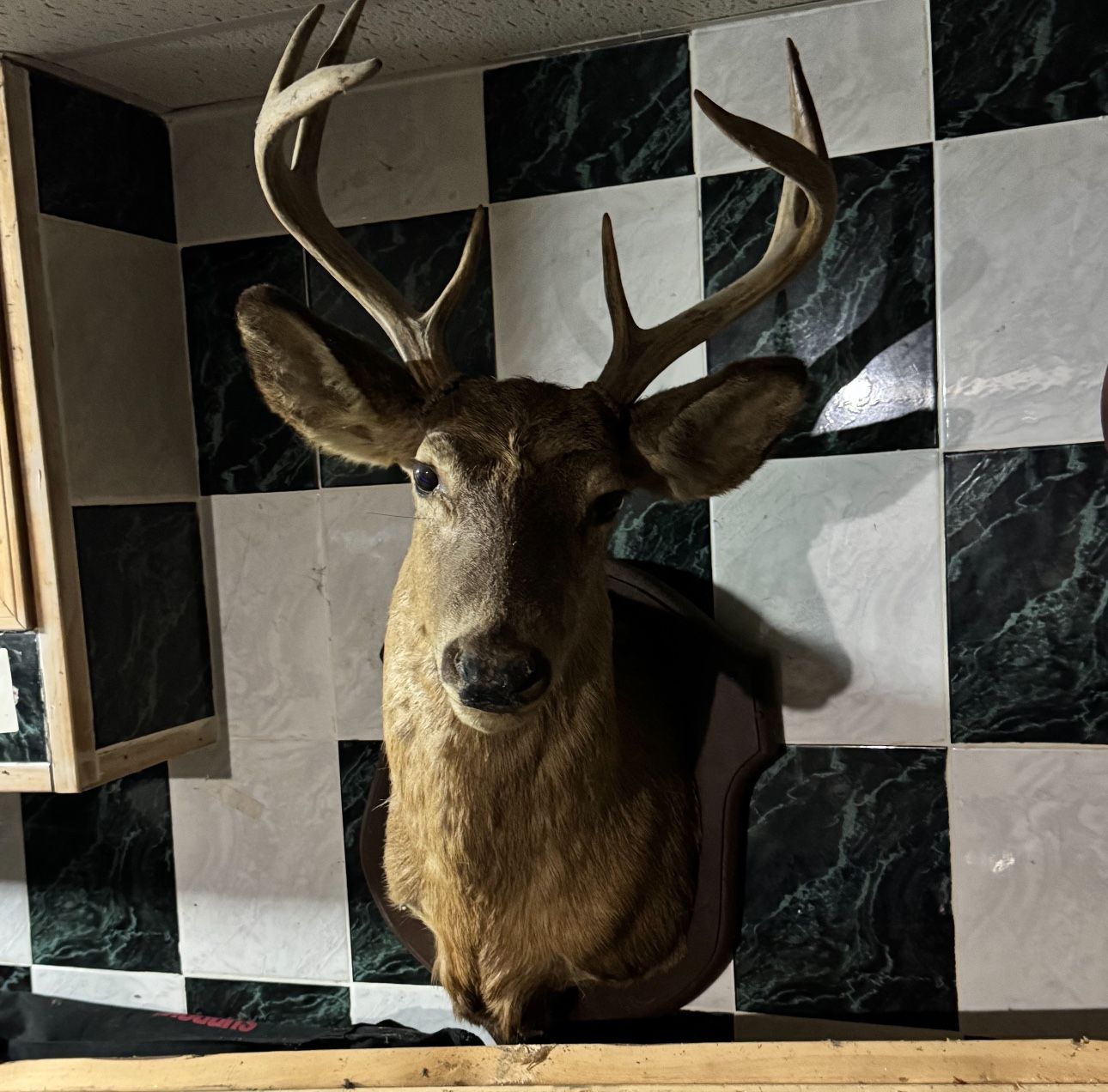 Vintage Deer Head