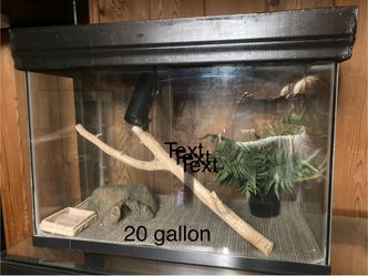 Reptile Tanks