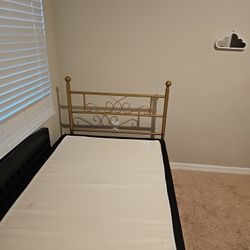 Twin Bed With Canopy  Polls 