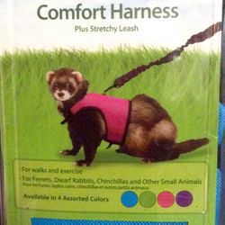 KAYTEE Comfort Harness Plus Stretchy Leash (Large/Green)