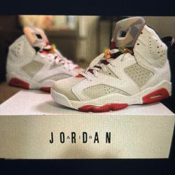 Air Jordan 6