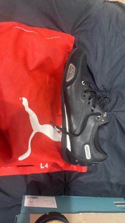 Black Mens ducati pumas