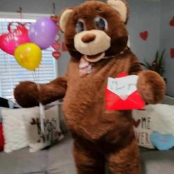 Valentines Teddygram Delivery Service