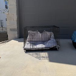 Medium size w/adjustment for small size dog