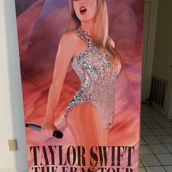 Taylor Swift Eras Tour Cardboard