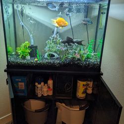 37 Gallon Fish Tank With Stand 