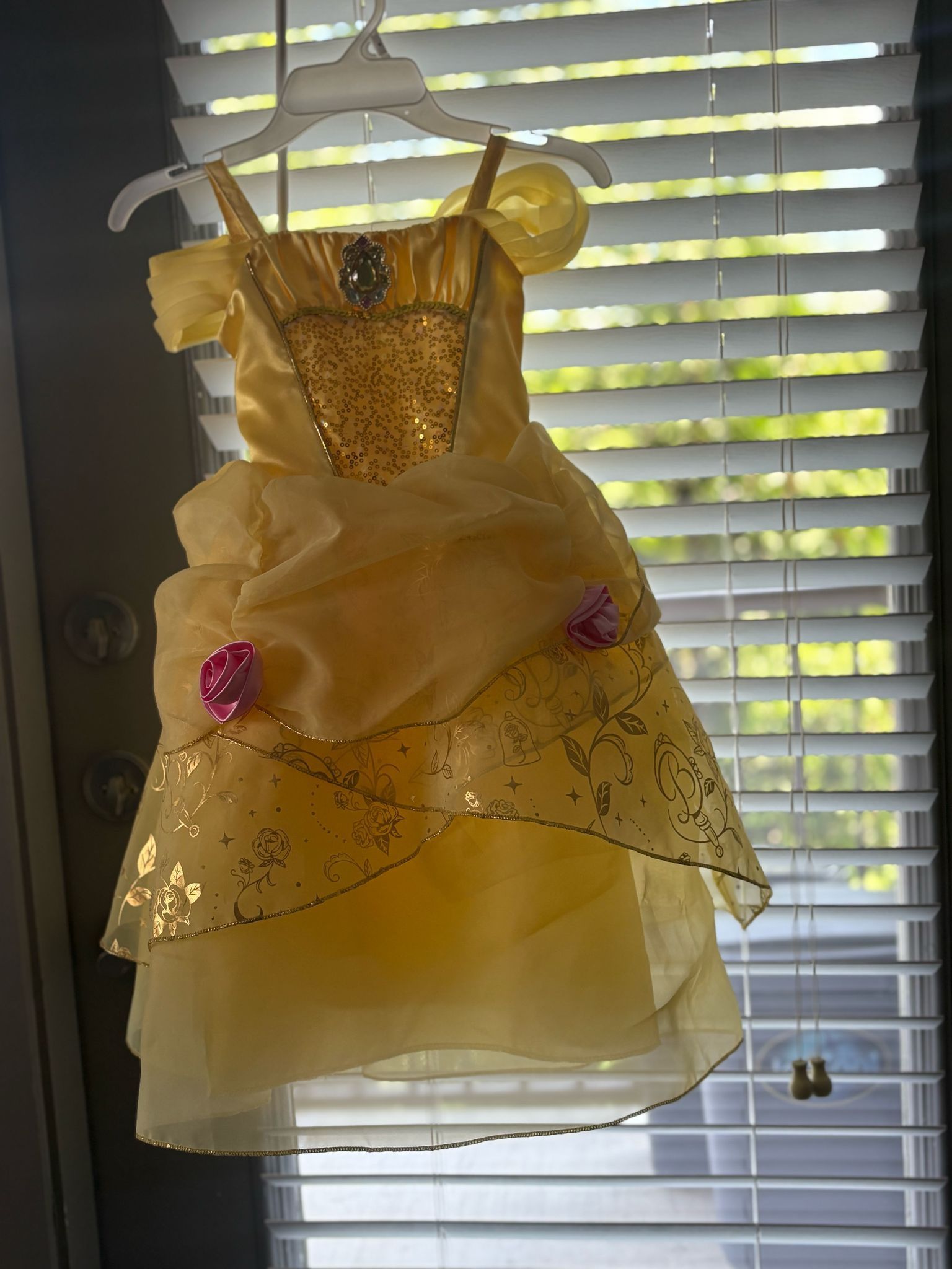 Princess Dress Yellow (Size 4)