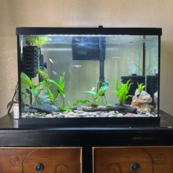 20 Gallon Tall Fish Tank 