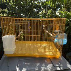 Bird Cage 