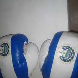 Guantes De Boxeo 🥊 El Salvador 