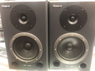 Roland DS-90 monitors