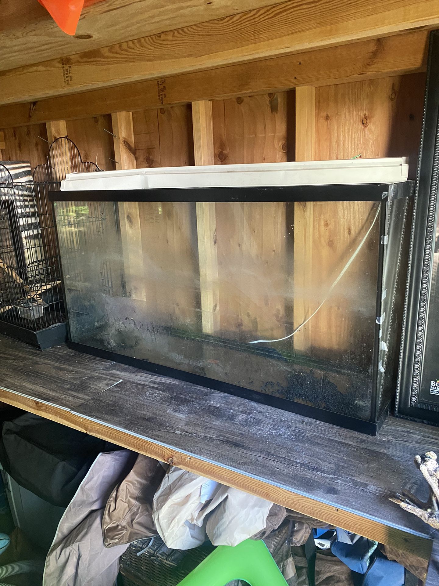 Fish Tank