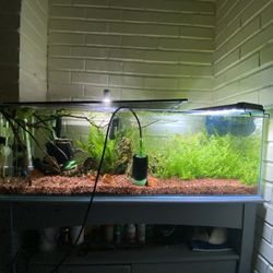 22 Gallon Long Rimless Fish Tank With Light And Stand 