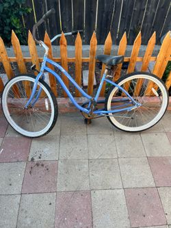 Phat cycles bike