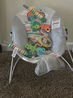 Baby Bouncer