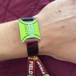 Sonic Temple Field Pass