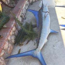 Marlin Fish