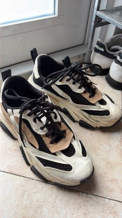 Steve Madden Shoes