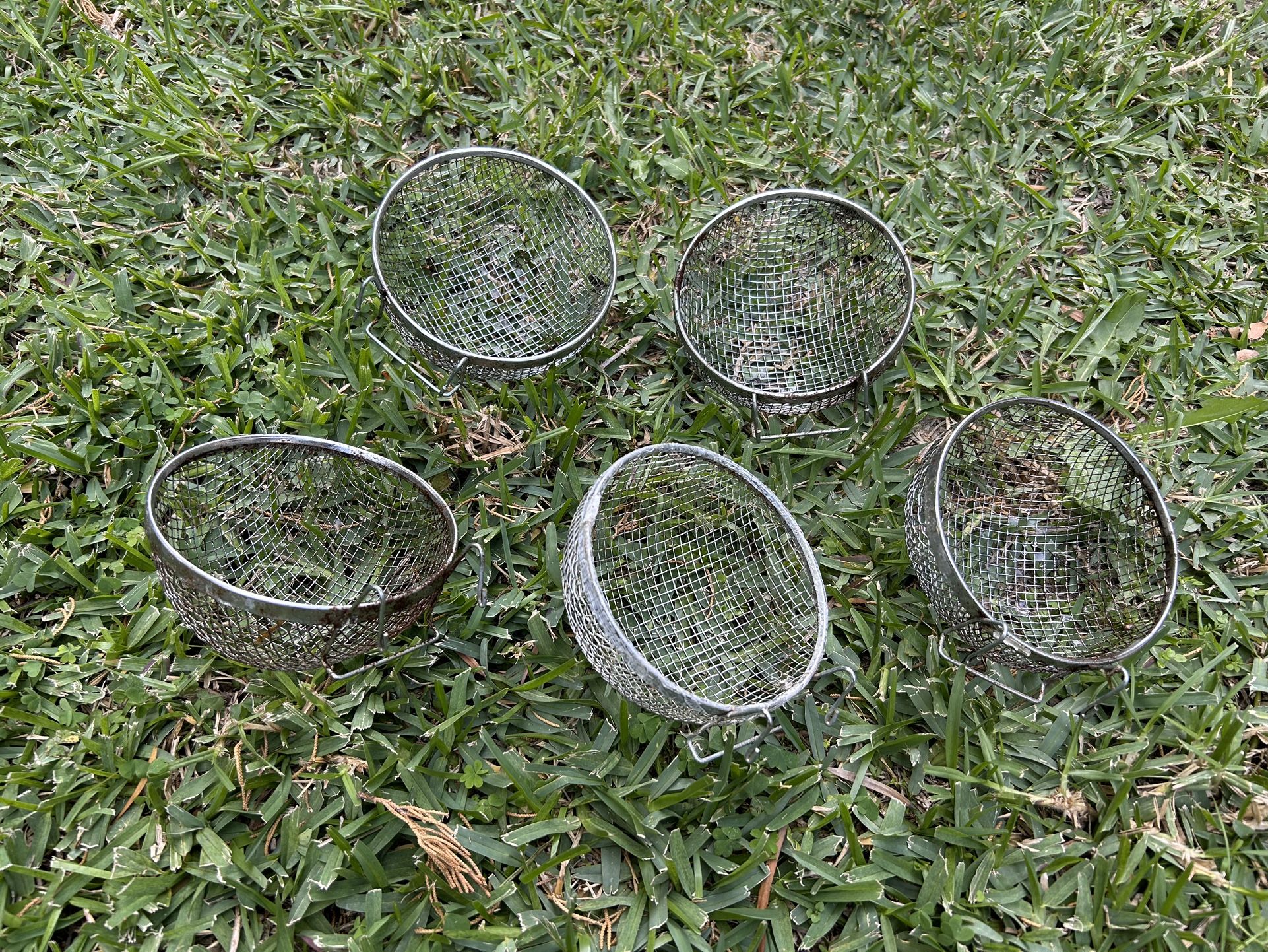 Bird Nest For Canary