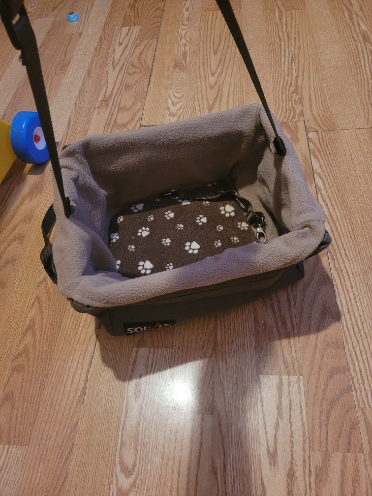 Small Dog Car Seat