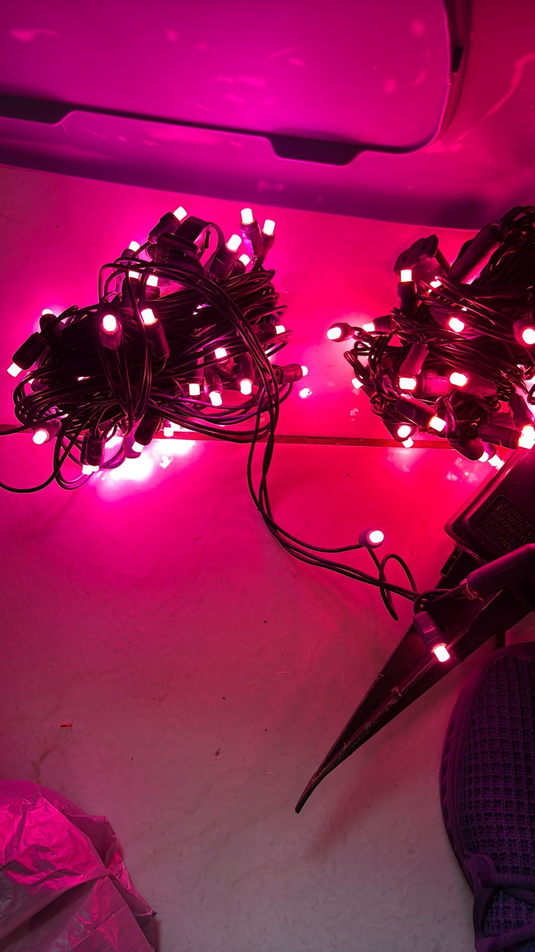 Pink LED Christmas 50 Count, Strand Lights