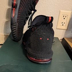 Nike Lebron XVI 
