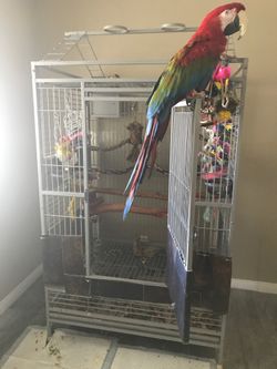 Big Pirot cage for Macaw