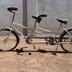 Two Seater Bike 