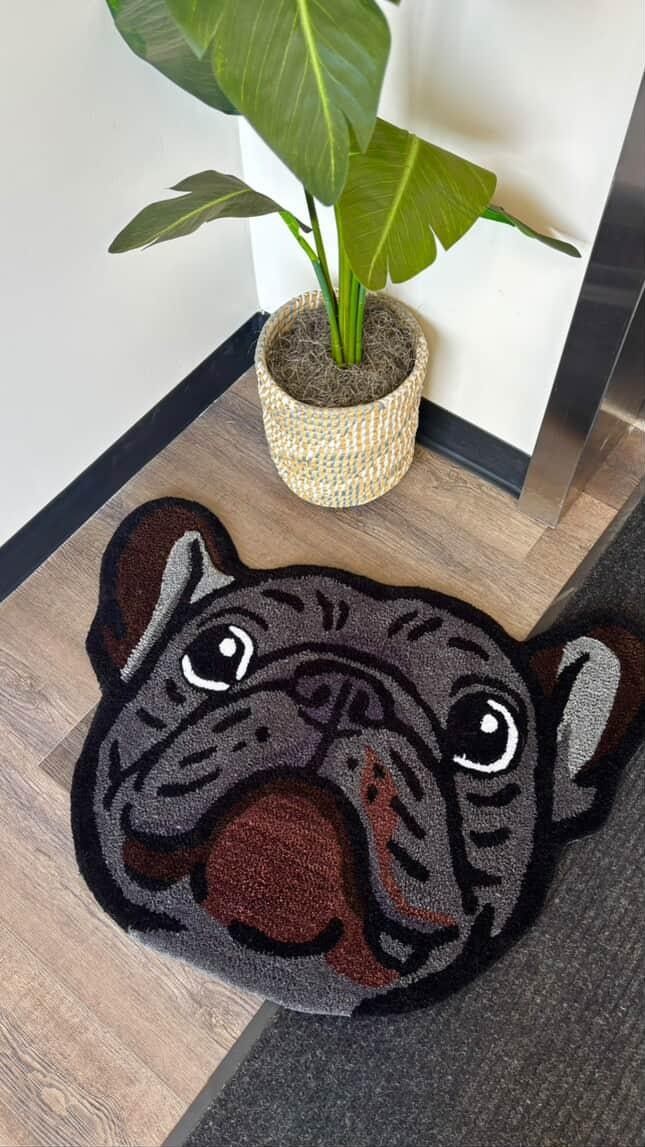 Custom Handmade Dog Pet Rug Home Decor Animals Cat Supplies Floor Mat Tufted Carpet