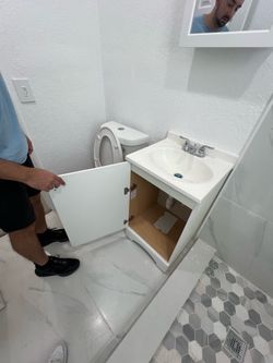 toilet and vanity