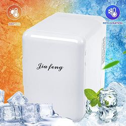 Jia Feng Cooler & Warmer 2 in 1 Mini Fridge
