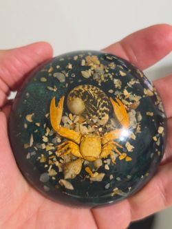 Crab & Snails Dome Paperweight Blue