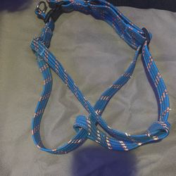 Dog Harness