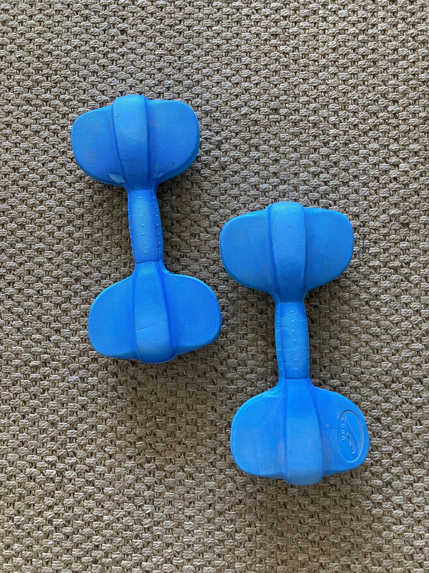 Set Of Two Blue Water Dumbbells