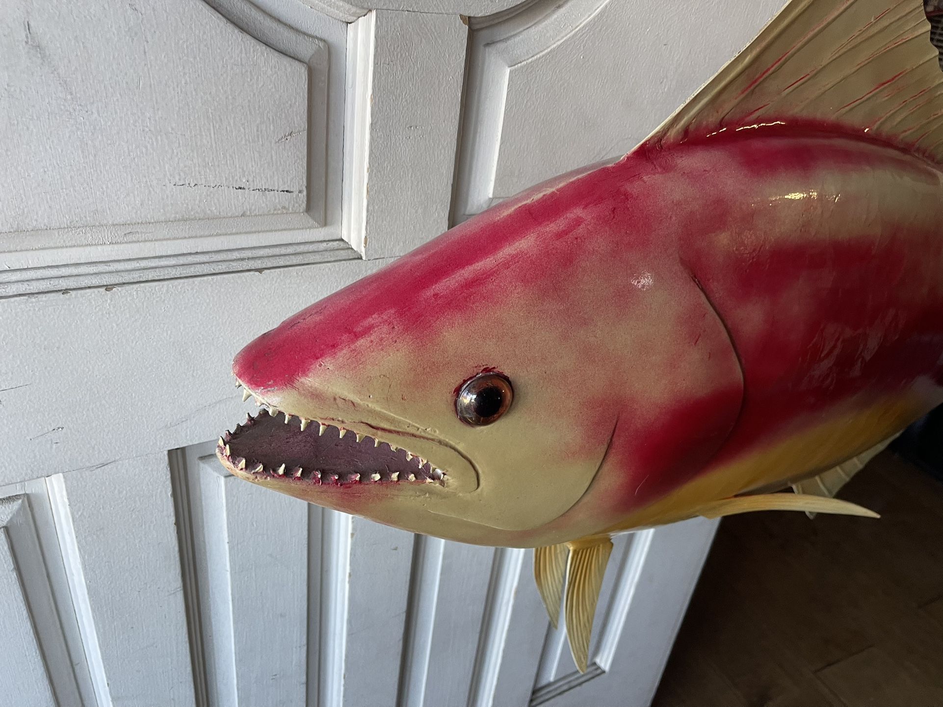 Original Fish Mount 57inches Long, 27 Inches Height
