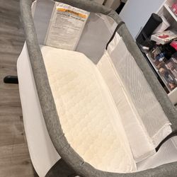  Baby Delight Bassinet 