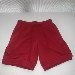 New Jordan’s Shorts