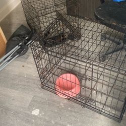 Dog Cage
