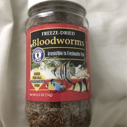 Bloodworms For Fish for Sale in Stockton, CA - OfferUp