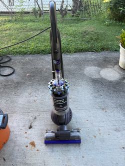 Dyson Vacuum Animal