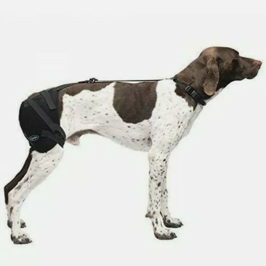 Brand New Caldera Hot & Cold Hip Pet Therapy Wrap w/ Therapy Gel Medium PET203
