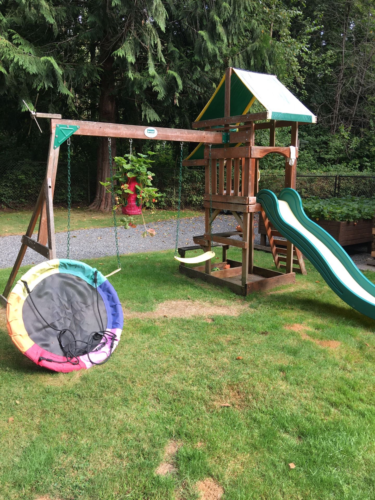 Swing Set
