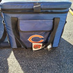Bears Cooler