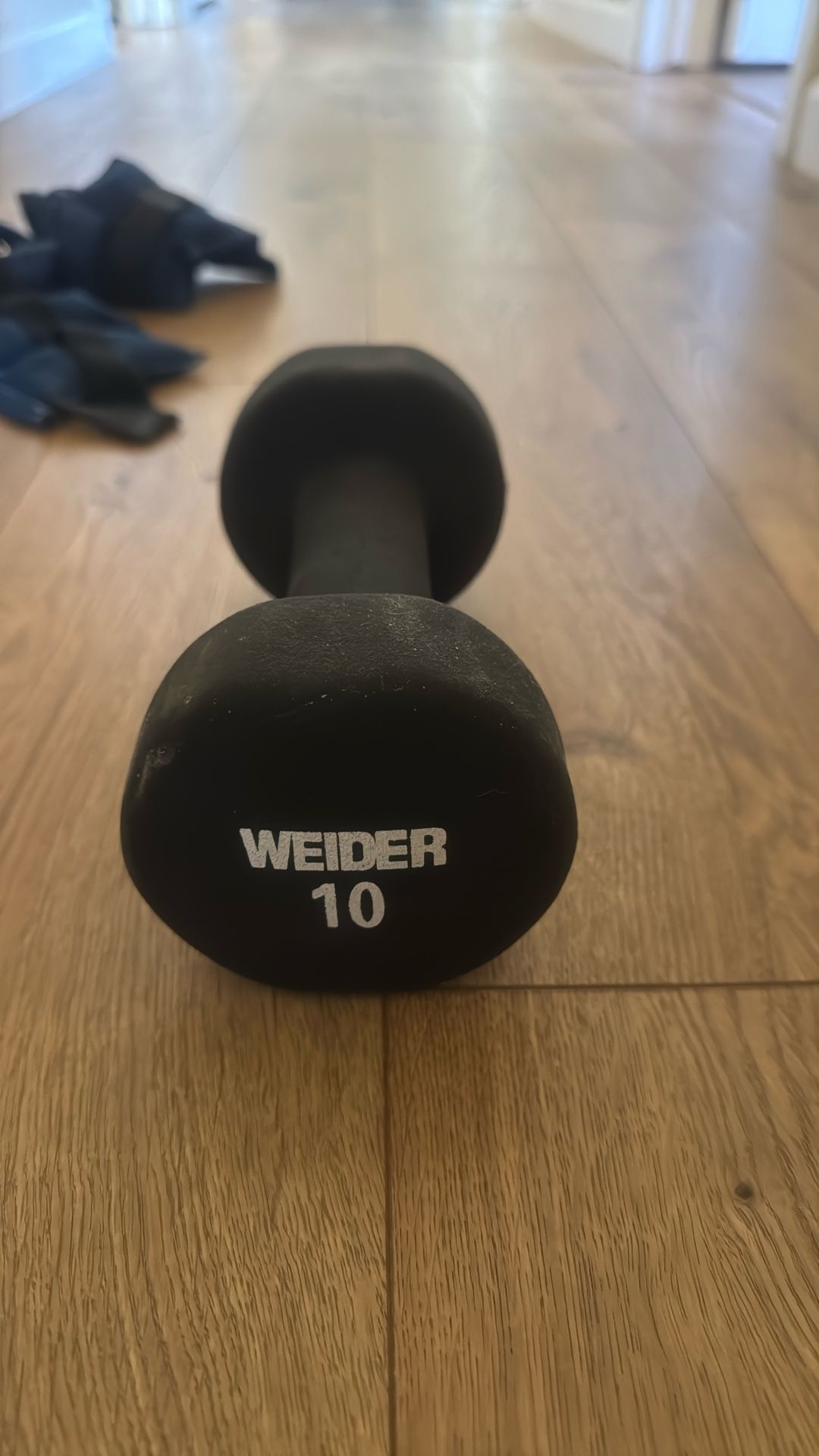 10lb Weight (single)