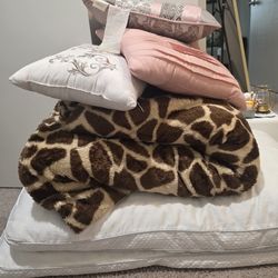 Pillows And Blanket for Free