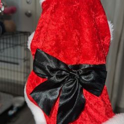 Small Dog Christmas Outfit 