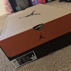9.5 Jordan Blueberry 12s BRAND NEW 