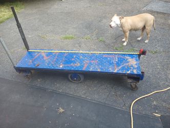 6 Wheeled Metal Cart